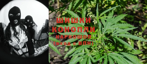 МДПВ Козловка