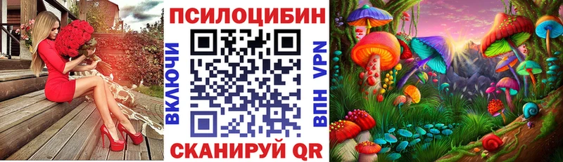 дарнет шоп  Михайлов  Галлюциногенные грибы Cubensis 