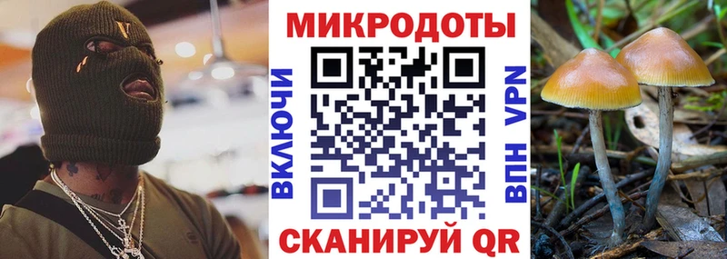 Псилоцибиновые грибы GOLDEN TEACHER Михайлов